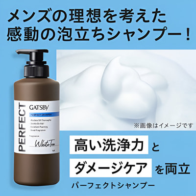 Mandom "Gatsby Perfect Shampoo"           ,    , 380 . (,  1)
