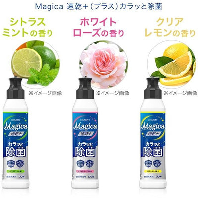 Lion "Charmy Magica+"    , ,     , 530 . (,  3)