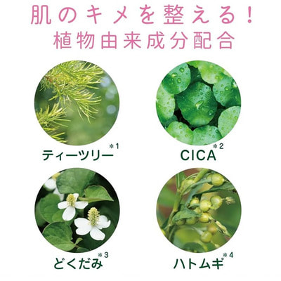Alovivi "Yuga Tea Tree"        4   , 200 . (,  5)