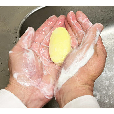 Kaneyo "Lemon"      ,    , 45 .  8 . (,  1)