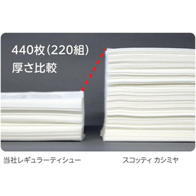 Nippon Paper Crecia Co., Ltd. "Scottie Cashmere Crecia" Салфетки двухслойные бумажные, кашемировые, 220 шт. (вид 2) Nippon Paper Crecia Co., Ltd. "Scottie Cashmere Crecia" Салфетки двухслойные бумажные, кашемировые, 220 шт. (фото, вид 2)
