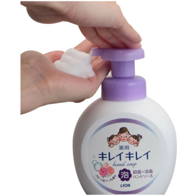 Lion "KireiKirei"      -   ,   , 500 . (,  2)