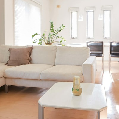 Kobayashi "Shoshugen Parfum Kinmokusei" ��������������� ���������� ������� ��� ������� � �������� ���������, ������ ���������, ���� � �������, 400 ��. (����, ��� 2)