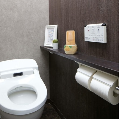 Kobayashi "Shoshugen Parfum Kinmokusei" ��������������� ���������� ������� ��� ������� � �������� ���������, ������ ���������, ���� � �������, 400 ��. (����, ��� 3)