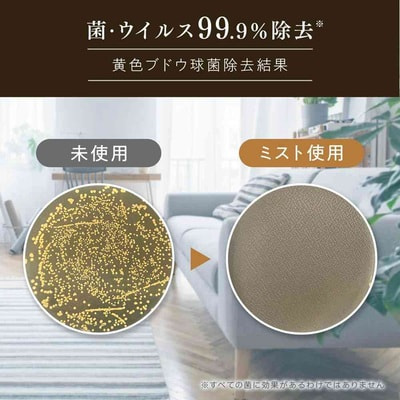 Nissan "FaFa Fine Fragrance Beaute" �����������-����� ��� ������, � �������� �������, ���� � �������, ������� ��������, 540 ��. (����, ��� 2)