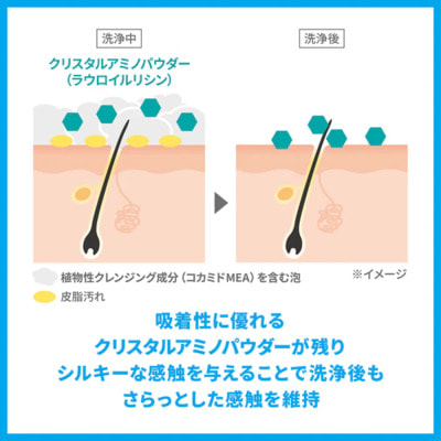 Shiseido "Sea Breeze Rinse-in" �������-����������� ��� ������ ���� ������ � ���� ����� �����, � ����-���������� ��������, ������� ��������, 330 ��. (����, ��� 2)