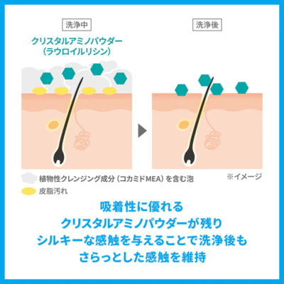 Shiseido "Sea Breeze - ������� ����" ������� c L-�������� ������ ������� ��� ������ ���� ������, � ����������� ��������, ������ ������� ��������, 490 ��. (����, ��� 2)