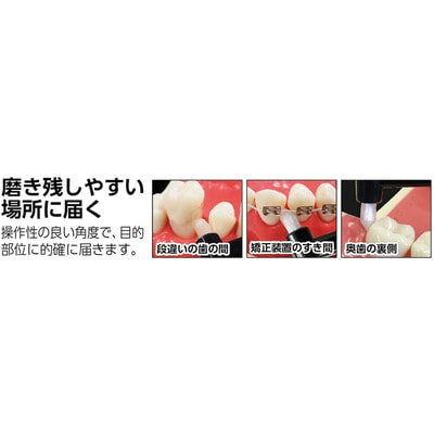 Ebisu ������� �������������� ������ ����� ��� ������ ���������� ������������ ��� ������� ������-������, ������, �� 6 ���, 1 ��. (����, ��� 7)