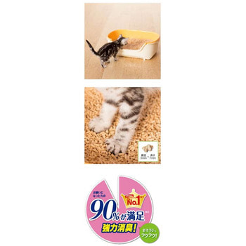 KAO "Nyan - Toilet set for kitten, Ivory-Orange"    (  3,5 )       +  1  +  1,5 . (,  1)