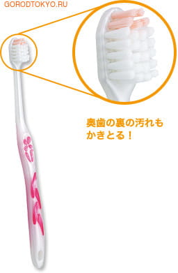 Dentalpro   "Fresh Hard-Tip",  . (,  1)