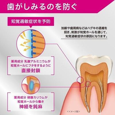 Sunstar "Gum ProCare Hyper Sensitive" Зубная паста для предотвращения заболеваний пародонта и гиперчувствительности зубов, с цитрусовым вкусом, 90 г. (фото, вид 1)