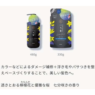 Kracie "Ichikami Color Care&Base Conditioner"       ,     , 480 . (,  2)
