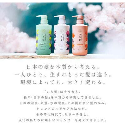 Kracie "Ichikami Color Care&Base Shampoo"       ,     , 480 . (,  1)