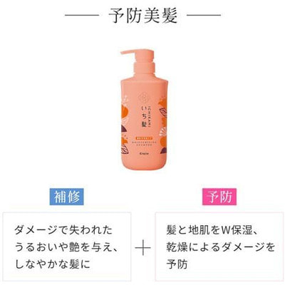 Kracie "Ichikami Double Moisturizing Care Shampoo"      ,    , 480 . (,  2)