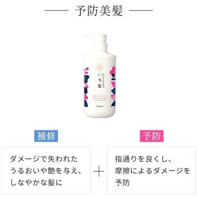 Kracie "Ichikami Smooth Care Shampoo"    , ,  , 480 . (,  2)