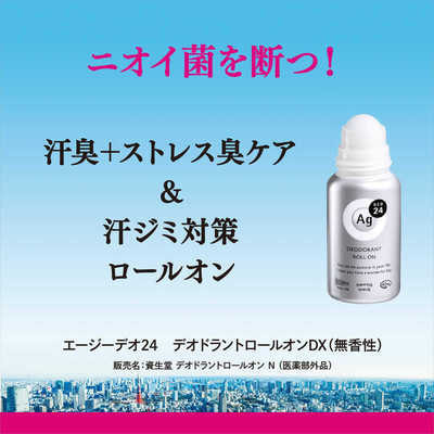 Shiseido "Ag Deo 24"     ,  , 40 . (,  2)