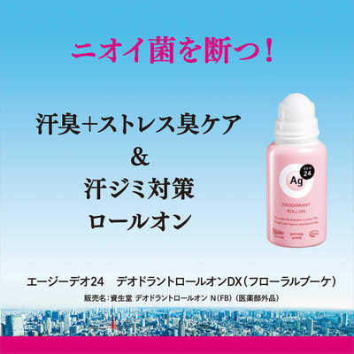 Shiseido "Ag Deo 24"     ,   , 40 . (,  3)