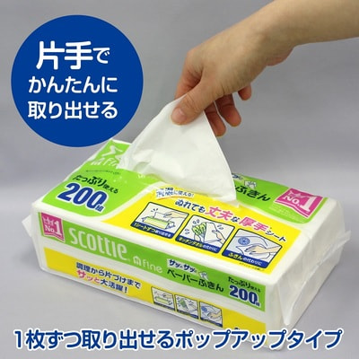 Nippon Paper Crecia Co., Ltd. "Scottie"     , ,   , 3   200 . (,  1)