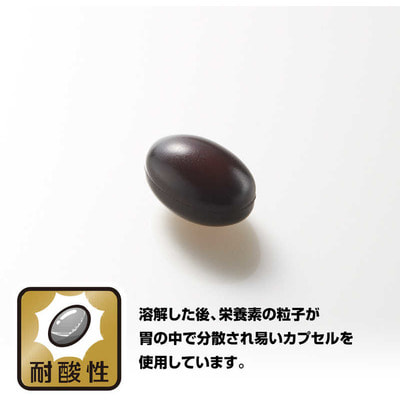 Noguchi "Good bacteria"   , 60 .  30 . (,  1)