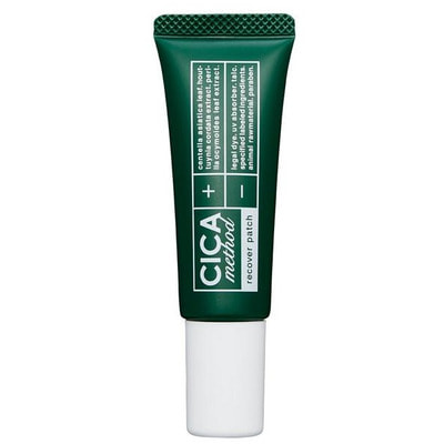 Cogit "CICA Method"  -  , 15 . ()