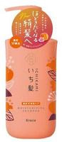 Kracie "Ichikami Double Moisturizing Care Shampoo"      ,    , 480 .