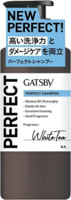 Mandom "Gatsby Perfect Shampoo"           ,    , 380 .